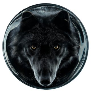 FENRIR CRAFTS