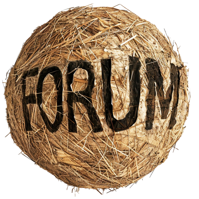 FORUM sphere frittet