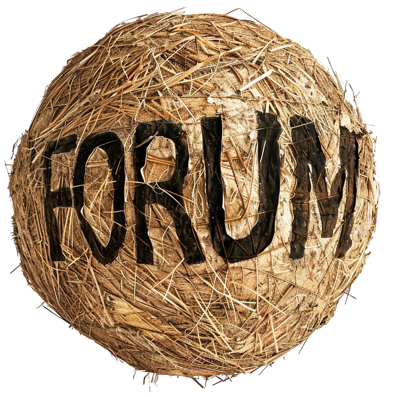 FORUM sphere frittet